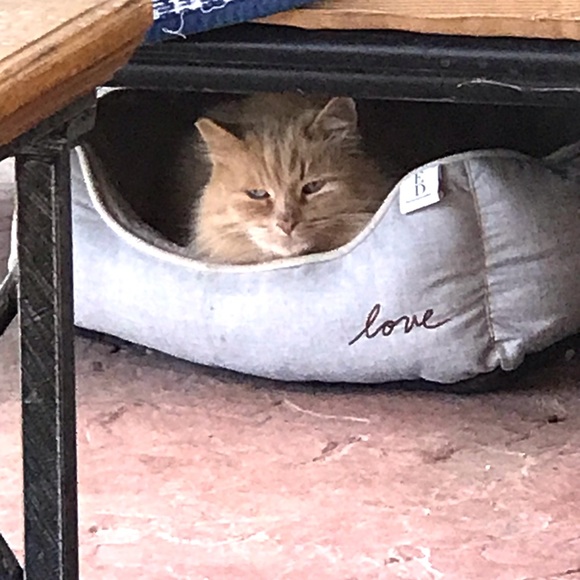 THANK YOU FOR SHOPPING ON POSHMARK! - Picture 4 of 13